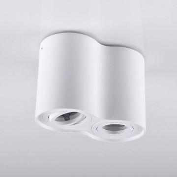 Reflektorska svjetiljka HADAR 2xGU10/10W/230V bijela