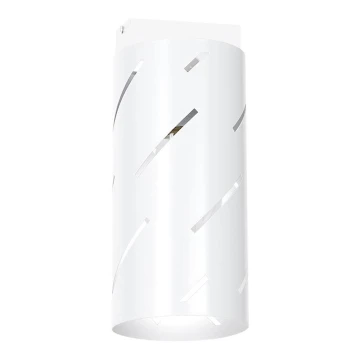 Reflektorska svjetiljka JIM 1xE27/60W/230V bijela