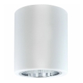 Reflektorska svjetiljka JUPITER 1xE27/20W/230V pr. 9,8 cm bijela