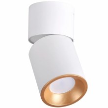 Reflektorska svjetiljka NIXA 1xGU10/10W/230V bijela/zlatna