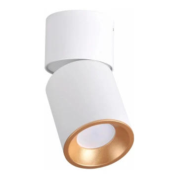Reflektorska svjetiljka NIXA 1xGU10/10W/230V bijela/zlatna