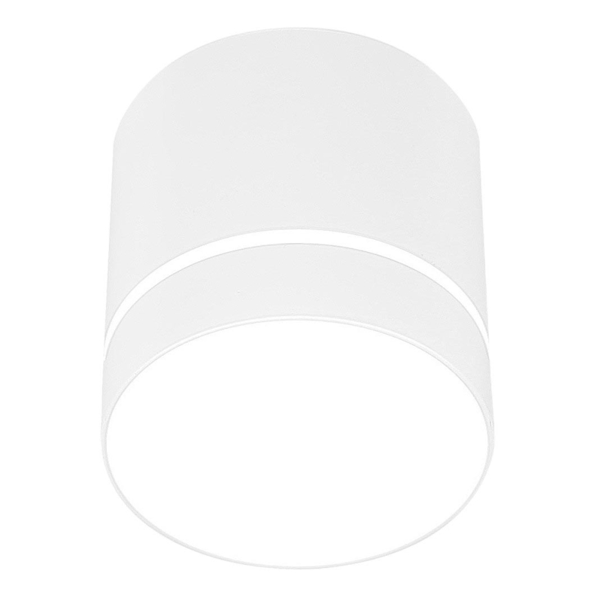 Reflektorska svjetiljka TUBA 1xGU10/15W/230V bijela