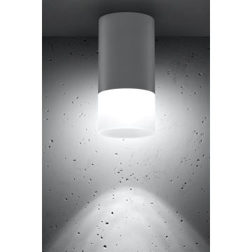 Reflektorska svjetiljka TUBA 1xGU10/15W/230V siva/bijela