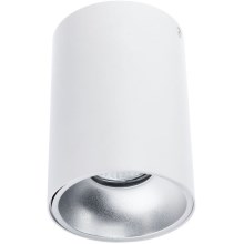 Reflektorska svjetiljka TUBA 1xGU10/50W/230V bijela
