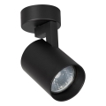 Reflektorska svjetiljka VOLF 1xGU10/10W/230V crna