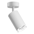 Reflektorska svjetiljka za kupaonicu TURYN 1xGU10/10W/230V IP44 bijela