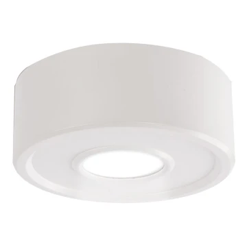 Shilo - LED Stropna svjetiljka IL LED/10W/230V 3000K CRI 90 bijela