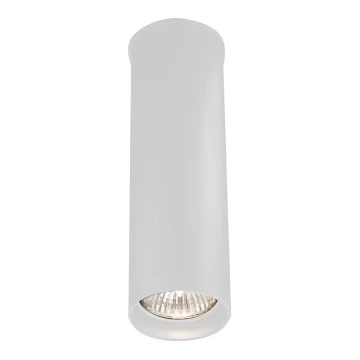 Shilo - Stropna svjetiljka 1xGU10/15W/230V 20 cm bijela