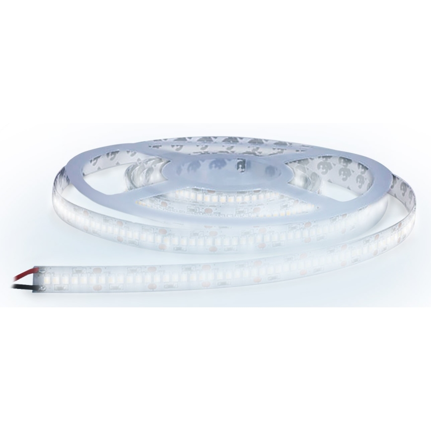 LED Traka LED/80W/12V 5m hladna bijela