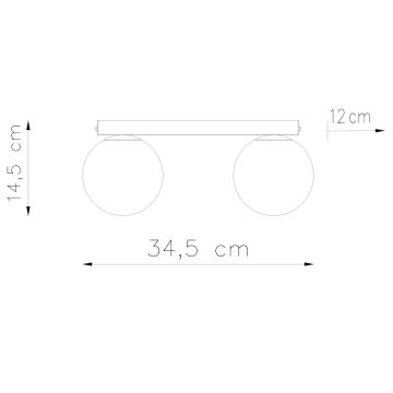 Stropna svjetiljka YOLI 2xG9/12W/230V crna