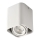 Stropna svjetiljka 1xGU10/25W/230V bijela