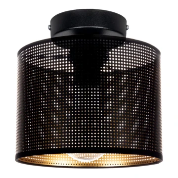 Stropna svjetiljka ALDO 1xE27/60W/230V pr. 20 cm crna