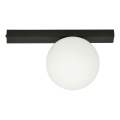 Stropna svjetiljka FIT 1xE14/10W/230V crna/bijela