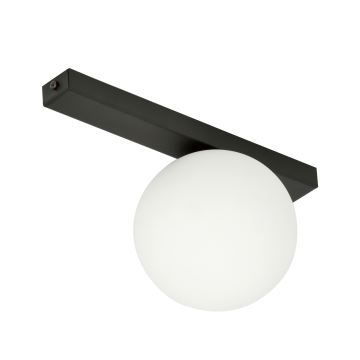 Stropna svjetiljka FIT 1xE14/10W/230V crna/bijela