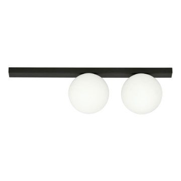 Stropna svjetiljka FIT 2xE14/10W/230V crna/bijela