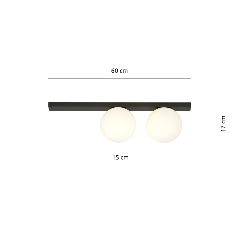 Stropna svjetiljka FIT 2xE14/10W/230V crna/bijela