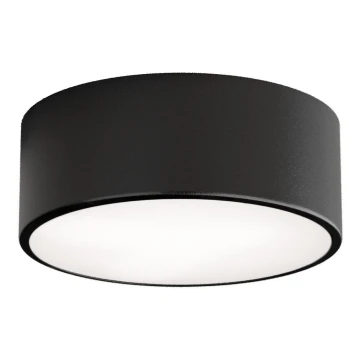 Stropna svjetiljka za kupaonicu CLEO 1xE27/24W/230V pr. 20 cm crna IP54