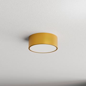 Stropna svjetiljka za kupaonicu CLEO 1xE27/24W/230V pr. 20 cm zlatna IP54