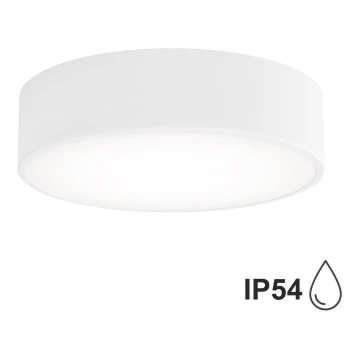 Stropna svjetiljka za kupaonicu sa senzorom CLEO 2xE27/24W/230V pr. 30 cm bijela IP54