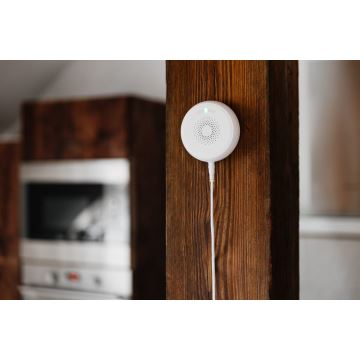 TESLA Smart - Pametni senzor curenja plina 230V Zigbee