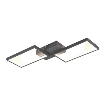 Trio - LED Prigušivi nadgradni luster CAFU 2xLED/7W/230V