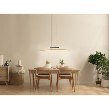 Wofi 7020-106 - LED Prigušivi luster na sajli BOLOGNA LED/27W/230V