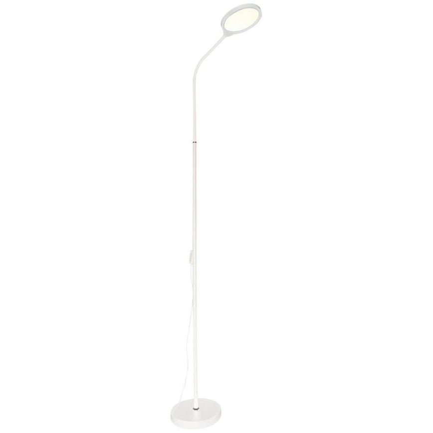 Zuma Line  - LED Prigušiva podna lampa LED/10W/230V 3000/4500/6500K bijela