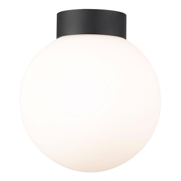 Zuma Line - Stropna svjetiljka 1xG9/4W/230V crna